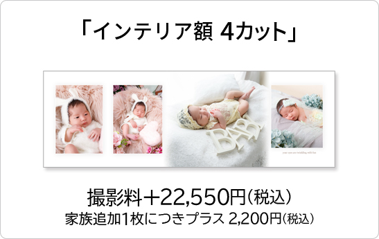 2面フラワー